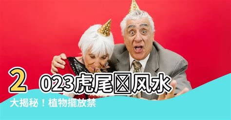 電信蘭風水|虎尾蘭風水2023詳解!（持續更新）